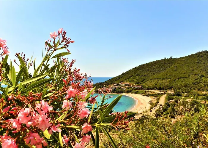 וילה Colomba קונקה